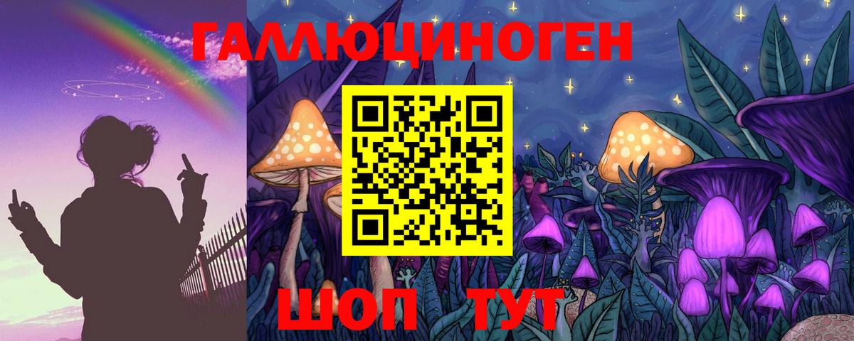 Сунжа  Псилоцибиновые грибы GOLDEN TEACHER  Вход с VPN 