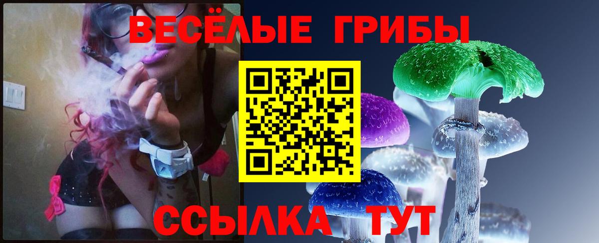 Псилоцибиновые грибы Psilocybe Сунжа