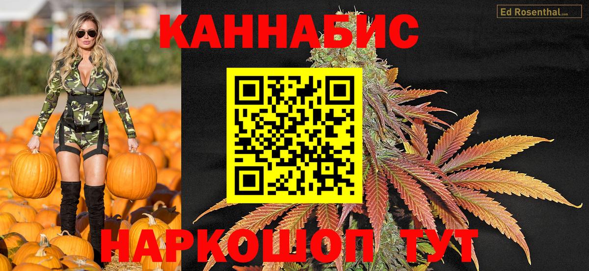 МАРИХУАНА OG Kush  Вход с VPN  Конопля SATIVA & INDICA  Сунжа 