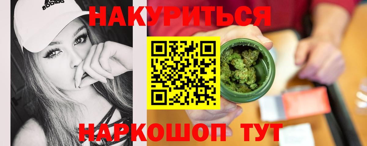 Канабис планчик Сунжа